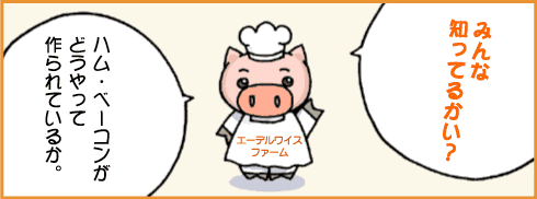 ハム・ベーコンの作り方