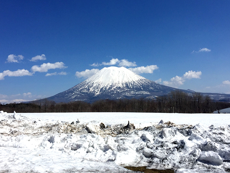 ezofuji
