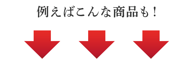 例えばこんな商品も