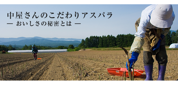 絶品アスパラと極上ベーコンのコラボレーション企画 
