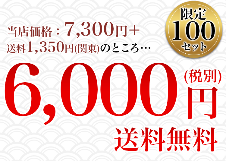 福袋 2023 6,000円 送料無料 限定100セット