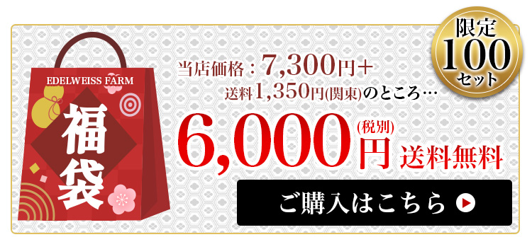 限定100セット 6,000円　送料無料　福袋