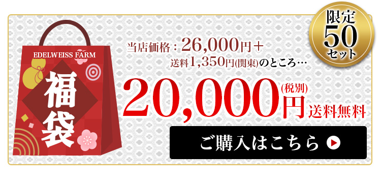 限定50セット 120,000円　送料無料　福袋