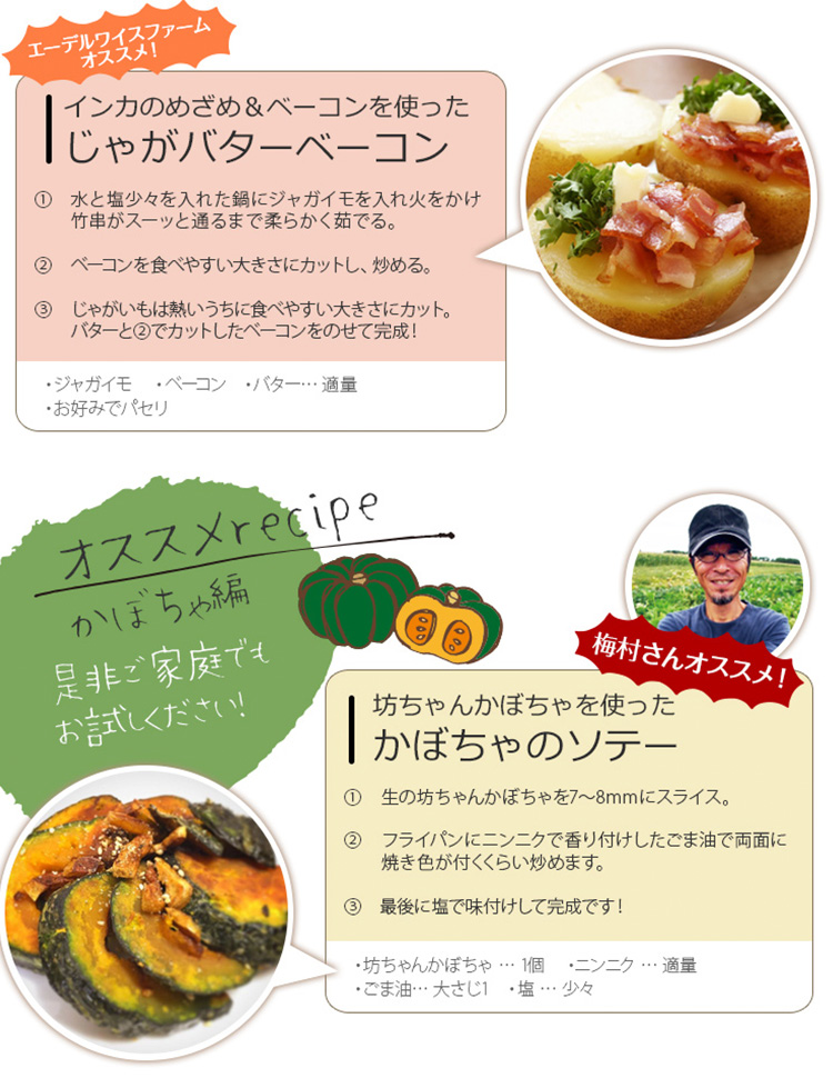 秋の味覚満喫セット インカのめざめ 坊ちゃんかぼちゃ ラクレットチーズがセットに 秋の味覚満喫セット インカのめざめ 坊ちゃんかぼちゃ ラクレットチーズがセットに