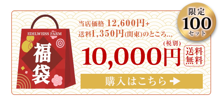 限定100セット 10,000円　送料無料　福袋