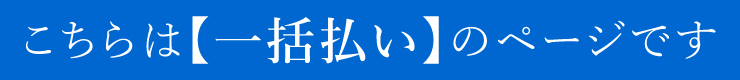 こちらは【一括払い】のページです