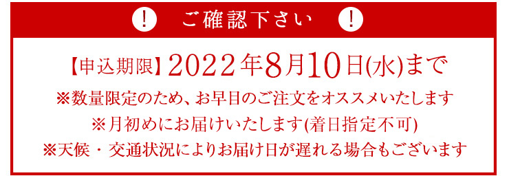申込期限は2022年8月10日までとなります