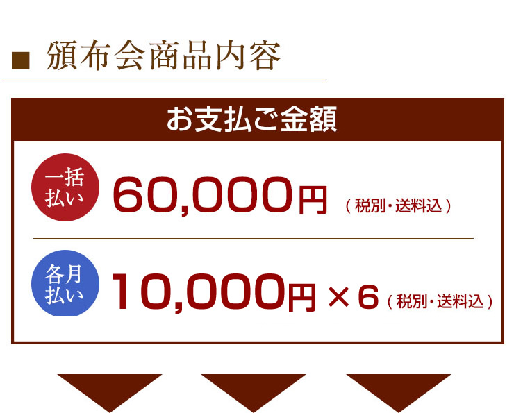お支払内容