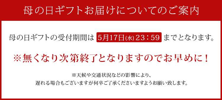 母の日ギフトお届けについてのご案内