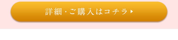 詳細・ご購入はこちら