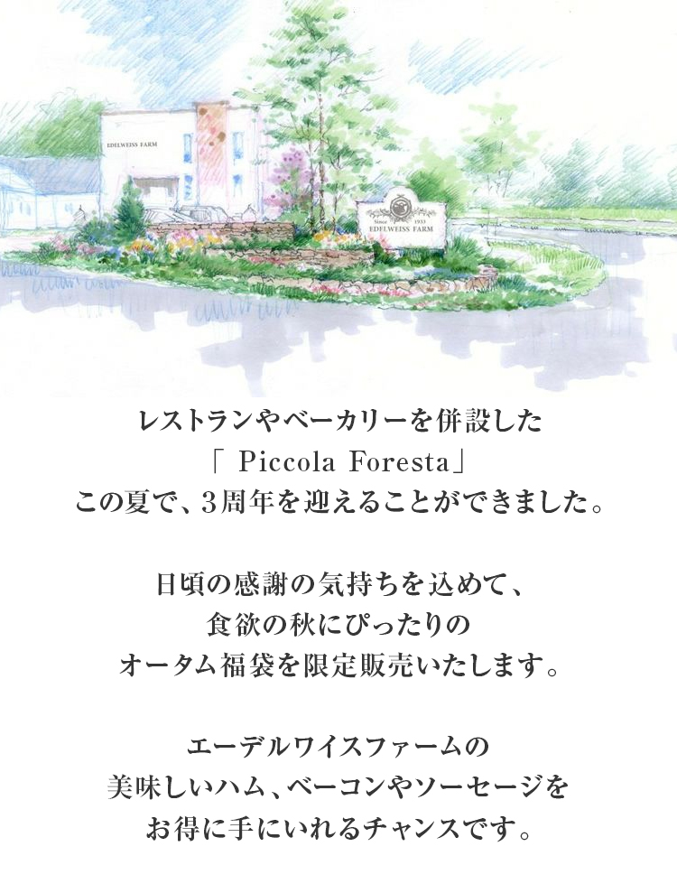 オータム福袋