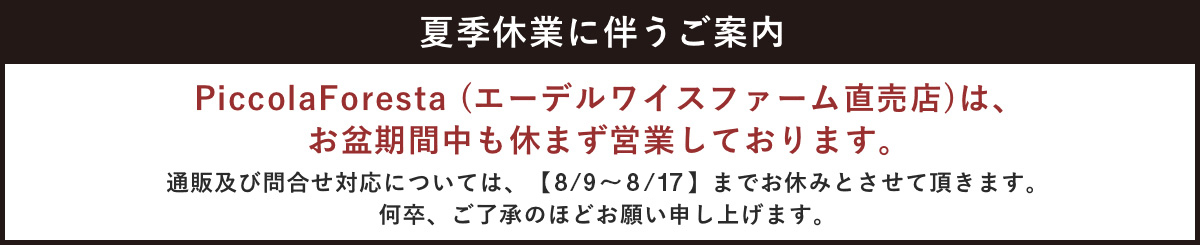 夏季案内のおしらせ
