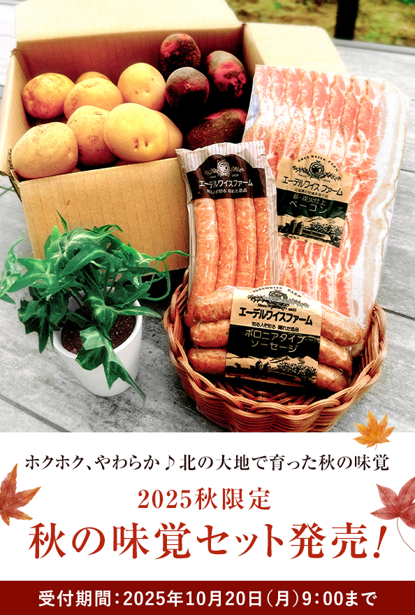 秋の味覚セット