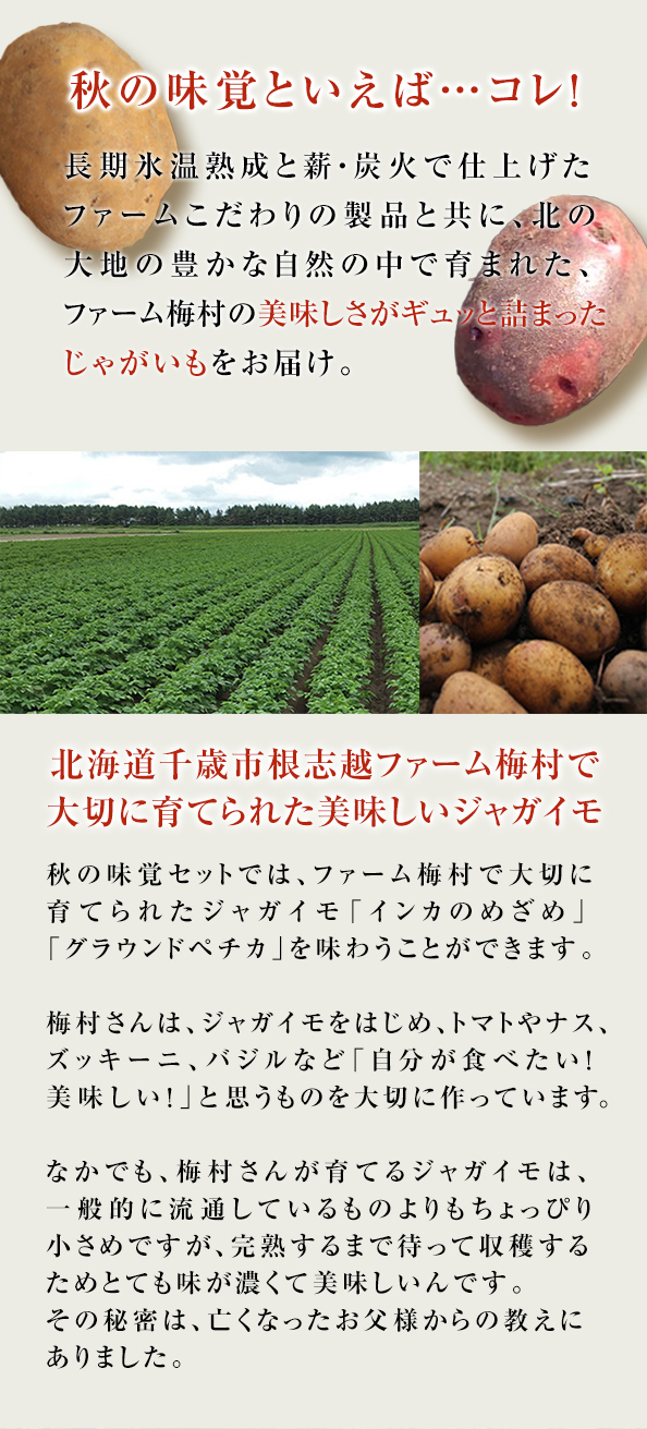 秋の味覚セット