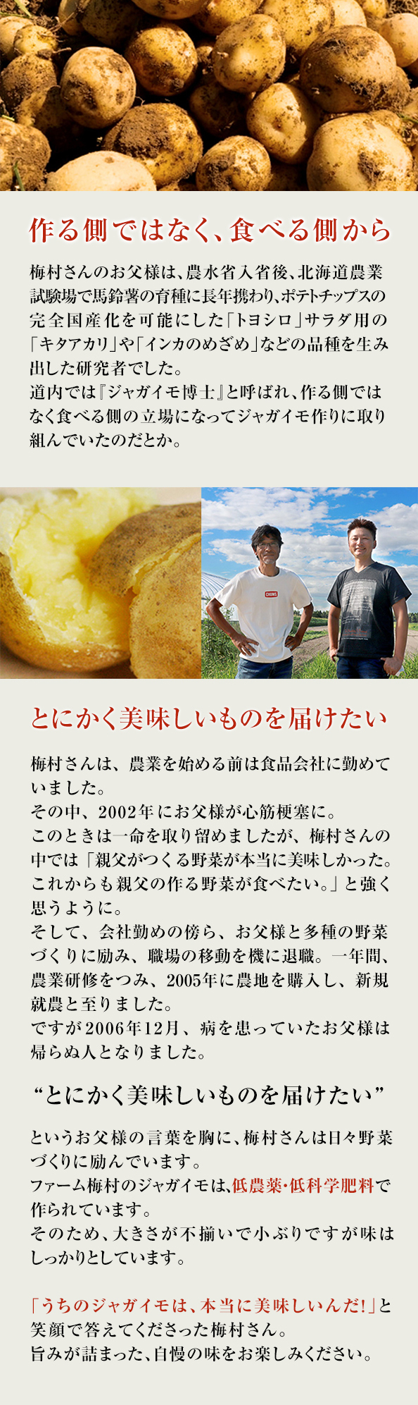 秋の味覚セット