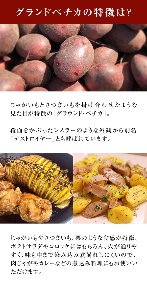 秋の味覚セット
