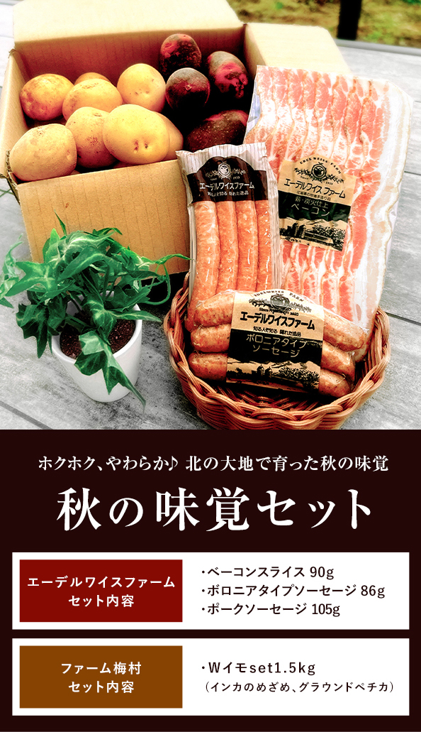 秋の味覚セット