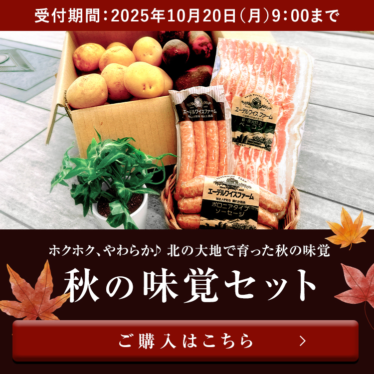 秋の味覚セット