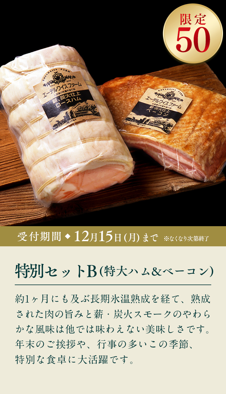 特別セットB