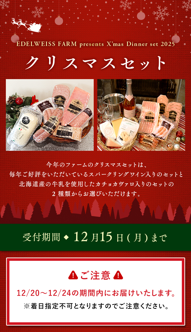 クリスマスセット2025