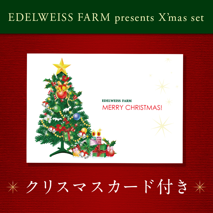 クリスマスセット2025