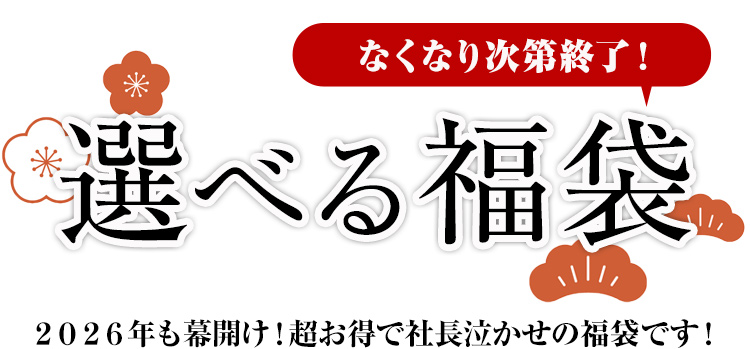 年に１度の スペシャルセット　福袋 2026 数量限定 期間限定