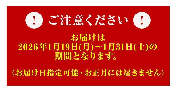 年に１度の スペシャルセット　福袋 2026 数量限定 期間限定
