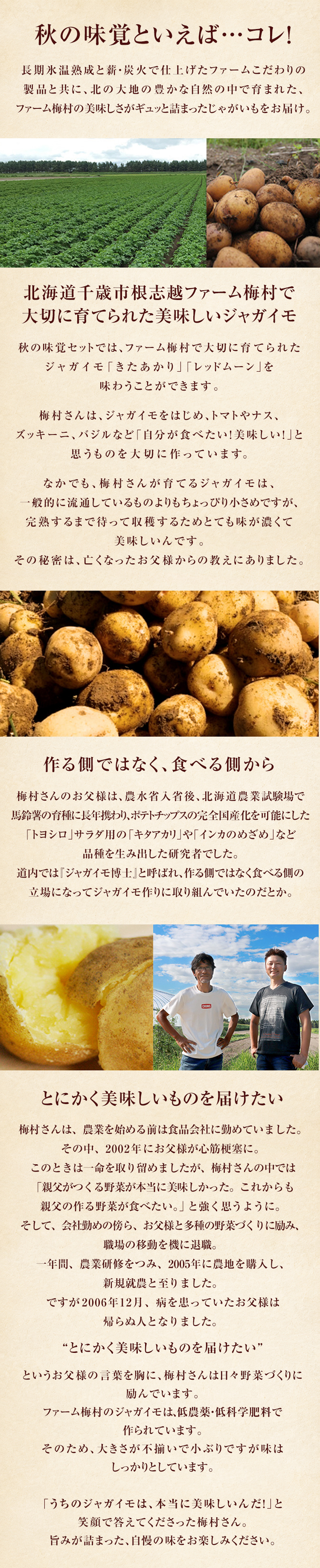秋の味覚セット