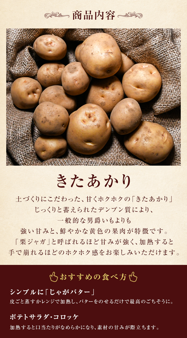 秋の味覚セット
