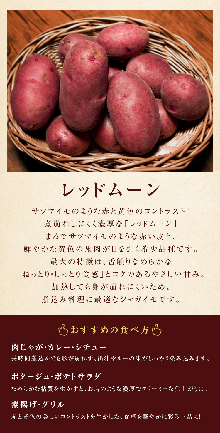 秋の味覚セット