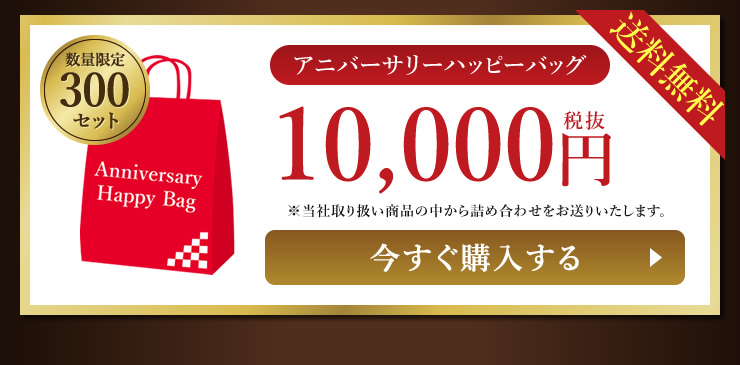 アニバーサリーハッピーバッグ 10,000円税抜・送料無料