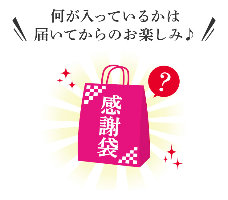 何が入ってるかは届いてからのお楽しみ