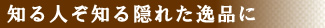 知る人ぞ知る隠れた逸品に