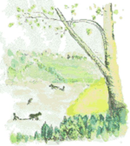 新緑の裏山と小川を描いた水彩画