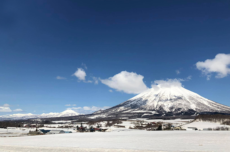 雪をかぶった羊蹄山と、その麓に広がる蘭越町の畑