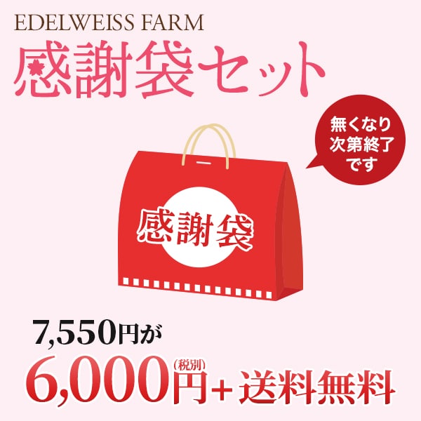 感謝袋セット。送料無料6,000円(税別)