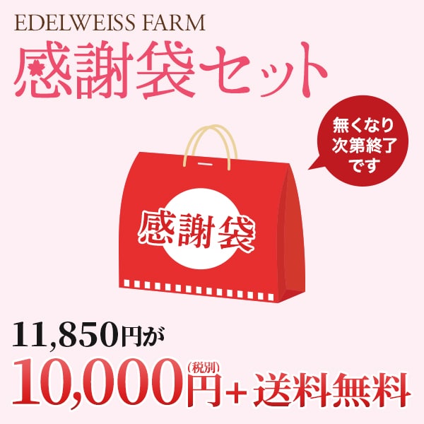 感謝袋セット。送料無料10,000円(税別)